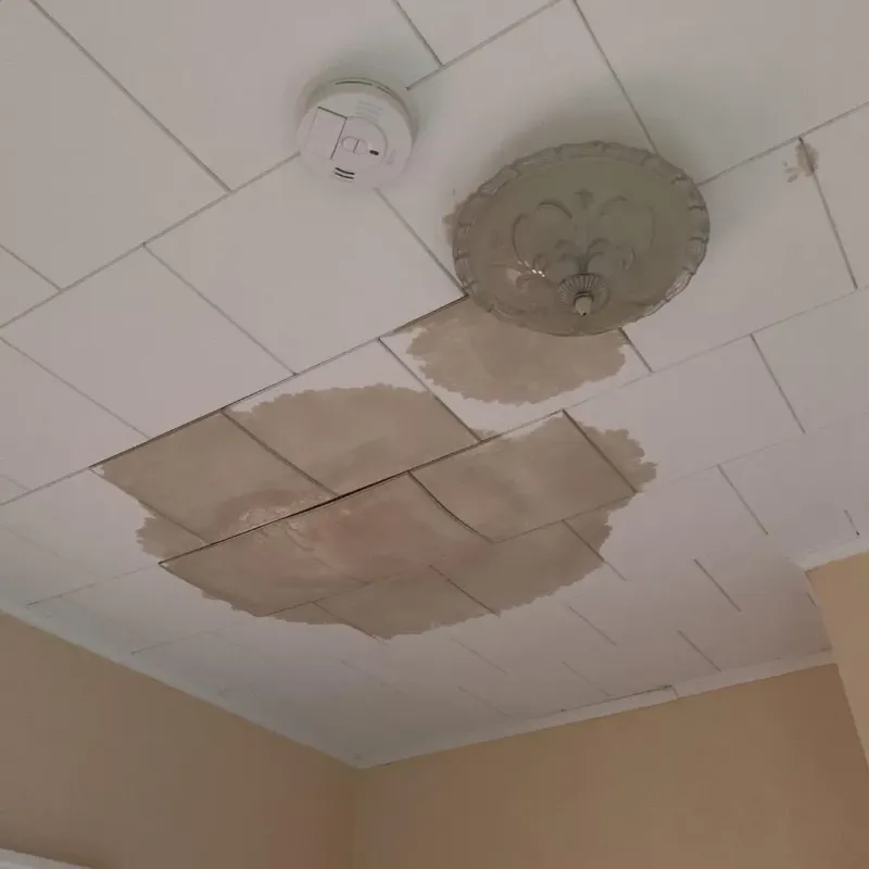 Ceiling Water Damage Repair in Willimantic, CT
