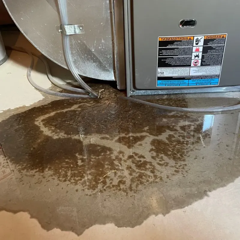 Pipe Burst and Leak Restoration in Willimantic, CT
