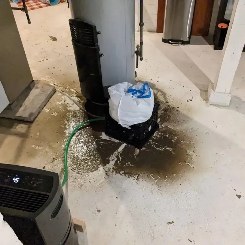 Sewage Backup Cleanup Service in Willimantic, CT